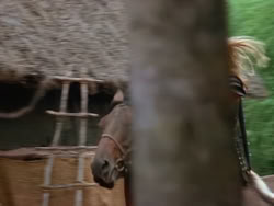 extant_XenaWarriorPrincess_1x22_Callisto_00844