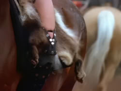 extant_XenaWarriorPrincess_1x22_Callisto_00855
