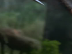 extant_XenaWarriorPrincess_1x22_Callisto_00883