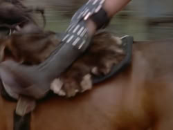 extant_XenaWarriorPrincess_1x22_Callisto_00936