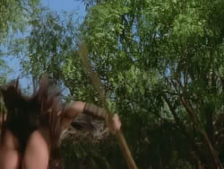 extant_XenaWarriorPrincess_1x22_Callisto_00939
