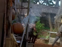 extant_XenaWarriorPrincess_1x22_Callisto_00965