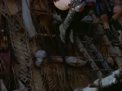 extant_XenaWarriorPrincess_1x22_Callisto_01152
