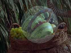 extant_XenaWarriorPrincess_1x22_Callisto_01448