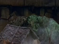 extant_XenaWarriorPrincess_1x22_Callisto_01753