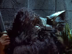 extant_XenaWarriorPrincess_1x22_Callisto_01806