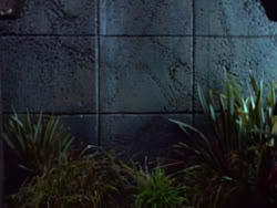 extant_XenaWarriorPrincess_1x22_Callisto_01808