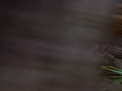 extant_XenaWarriorPrincess_1x22_Callisto_02040