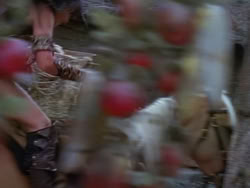 extant_XenaWarriorPrincess_1x22_Callisto_02045