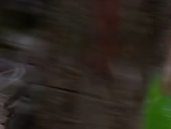 extant_XenaWarriorPrincess_1x22_Callisto_02053