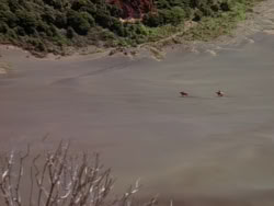 extant_XenaWarriorPrincess_1x22_Callisto_02075