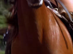 extant_XenaWarriorPrincess_1x22_Callisto_02101