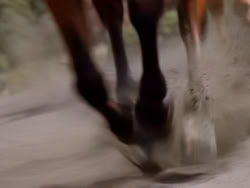 extant_XenaWarriorPrincess_1x22_Callisto_02122