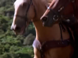 extant_XenaWarriorPrincess_1x22_Callisto_02141