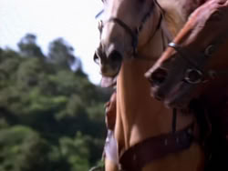extant_XenaWarriorPrincess_1x22_Callisto_02143
