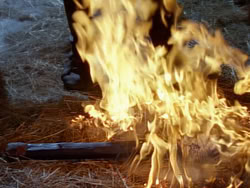 extant_XenaWarriorPrincess_1x22_Callisto_02733