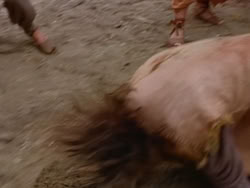extant_XenaWarriorPrincess_1x22_Callisto_02806