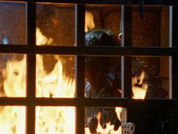 extant_XenaWarriorPrincess_1x22_Callisto_02842