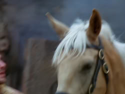extant_XenaWarriorPrincess_1x22_Callisto_02886