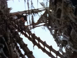 extant_XenaWarriorPrincess_1x22_Callisto_02950