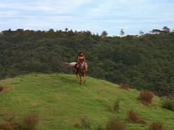 extant_XenaWarriorPrincess_1x22_Callisto_03177