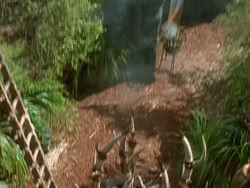 extant_XenaWarriorPrincess_1x22_Callisto_03237
