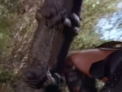 extant_XenaWarriorPrincess_1x22_Callisto_03260
