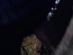 extant_XenaWarriorPrincess_1x22_Callisto_03261