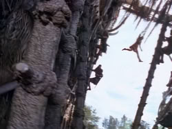 extant_XenaWarriorPrincess_1x22_Callisto_03274