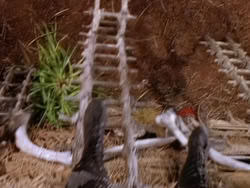 extant_XenaWarriorPrincess_1x22_Callisto_03278