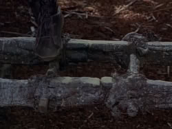 extant_XenaWarriorPrincess_1x22_Callisto_03355