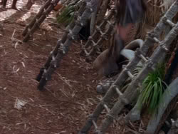 extant_XenaWarriorPrincess_1x22_Callisto_03360