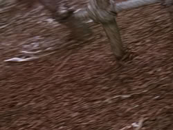 extant_XenaWarriorPrincess_1x22_Callisto_03384