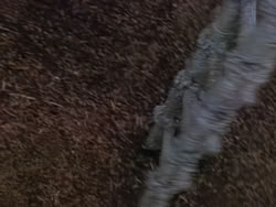extant_XenaWarriorPrincess_1x22_Callisto_03395