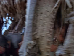 extant_XenaWarriorPrincess_1x22_Callisto_03408