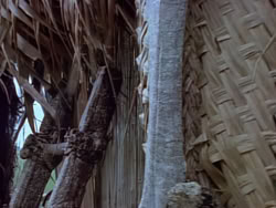 extant_XenaWarriorPrincess_1x22_Callisto_03409