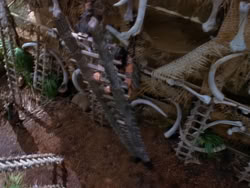 extant_XenaWarriorPrincess_1x22_Callisto_03419