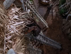 extant_XenaWarriorPrincess_1x22_Callisto_03423