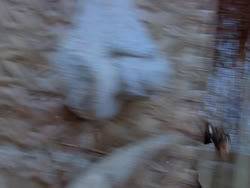 extant_XenaWarriorPrincess_1x22_Callisto_03430