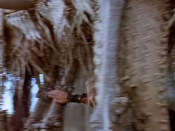 extant_XenaWarriorPrincess_1x22_Callisto_03435