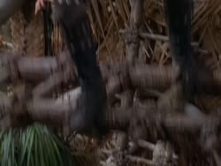 extant_XenaWarriorPrincess_1x22_Callisto_03500