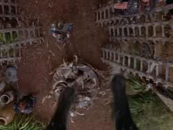 extant_XenaWarriorPrincess_1x22_Callisto_03572