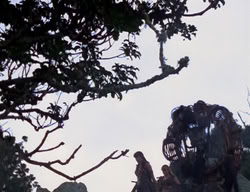 extant_XenaWarriorPrincess_2x01-OrphanOfWar_00028