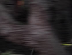 extant_XenaWarriorPrincess_2x01-OrphanOfWar_00126