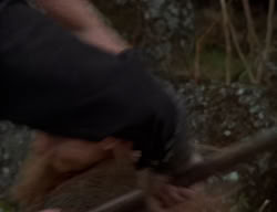extant_XenaWarriorPrincess_2x01-OrphanOfWar_00143