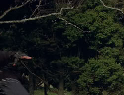 extant_XenaWarriorPrincess_2x01-OrphanOfWar_00186
