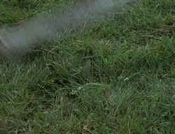 extant_XenaWarriorPrincess_2x01-OrphanOfWar_00207