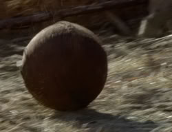extant_XenaWarriorPrincess_2x01-OrphanOfWar_00404