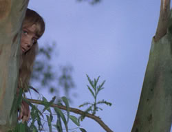extant_XenaWarriorPrincess_2x01-OrphanOfWar_01040