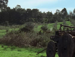extant_XenaWarriorPrincess_2x01-OrphanOfWar_01182